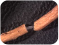 Filaments de caoutchouc entre deux morceaux de racine.