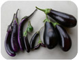 Different types of eggplant: Indian (long), Thai (round), Filipino (small), European (right)