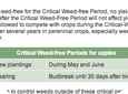 Critical weed-free period