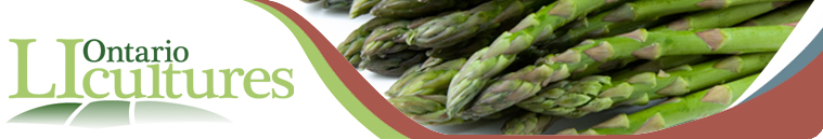 asparagusfr