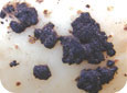 Black sclerotia on late-harvested tubers