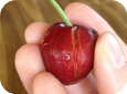 Splitting cherries