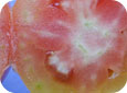 Blotchy ripening and internal white tissue