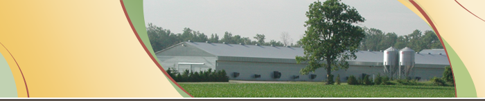 Poultry