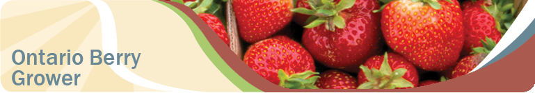 The Ontario Berry Grower Banner