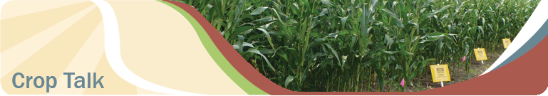 Crop Talk Banner