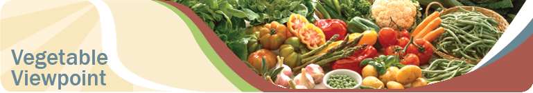 Vegetable Viewpoint Banner