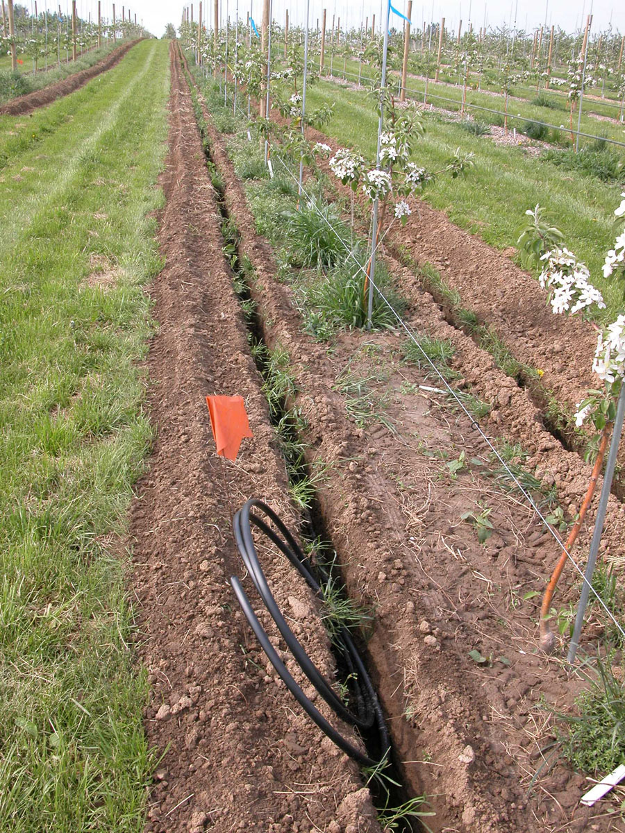 whatsize drip emitter fir pots whatsize drip emitter fir pots