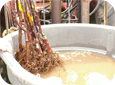 Soak the roots in a barrel of clean water for no more than 6 to 12 hours before planting.