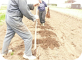 Planting with a shovel can do a very good job with fewer drawbacks, but it is much slower.