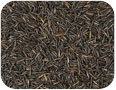 Wild rice grains (Photo credit: Nick Lundgren, www.shutterstock.com)