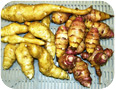 Tubers of Jerusalem artichoke