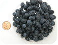 Haskap fruit harvested from Ontario field trials.