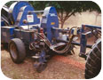 Large harvester picking up windrowed hazelnuts