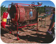 Machines of varying sizes can be used to clean and sort hazelnuts after harvest.