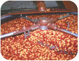 Dry roasting and salting of hazelnuts