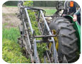 Peanut harvest