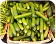 Oriental cucumber: fruit