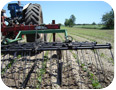 Tine weeder