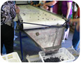 Postharvest processing of haskaps