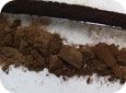 Soil cores can appear very different
