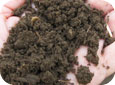 Well-aggregated soil structure