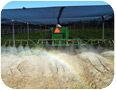Boom sprayer