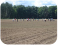 Hand weeding crew