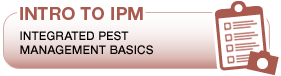 Intro to IPM