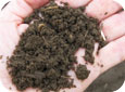 Granular soil structure 