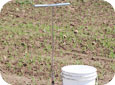 Probe and bucket for sampling
