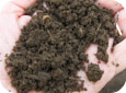 Granular Soil Structure