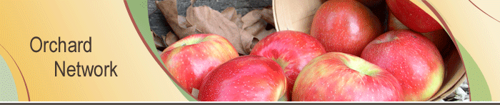 Orchard Network