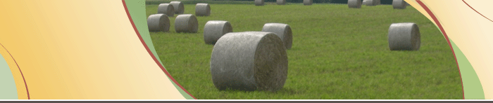 Forages