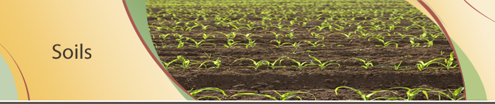 Soils