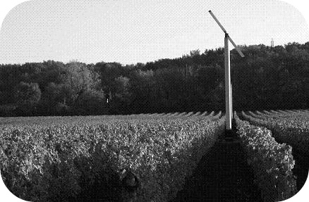 Le recours aux éoliennes est un moyen de protéger les cultures horticoles des dommages causés par le froid.