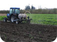 On doit évaluer comment éviter les problèmes éventuels de ralentissement de croissance associés aux plantations sur d'anciens sites par la fumigation.