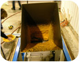 Seabuckthorn milling