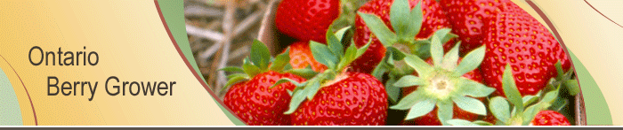 Ontario Berry Grower