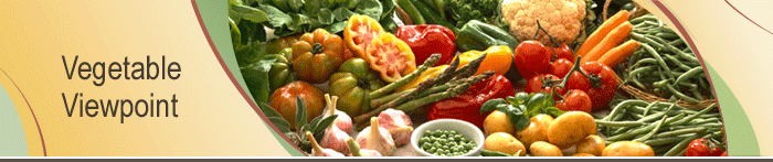 Vegetable Viewpoint