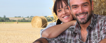 Picture of farmers on a hay field