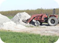 Fall soil sampling is important to determine the need for preplant fertilizer or lime.